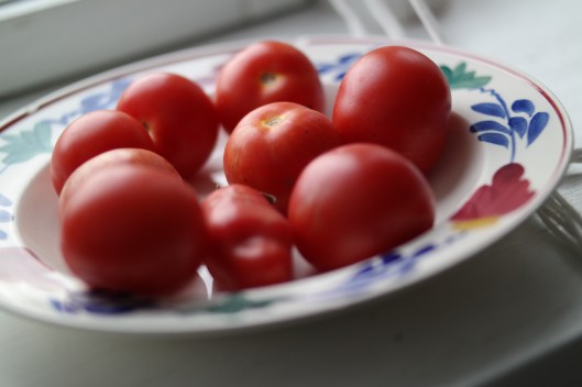 Tomatos from our own plants